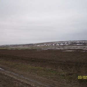 img_333353_18241.jpg