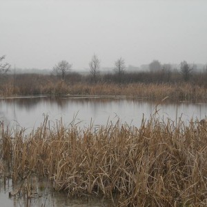 img_335561_12762.jpg