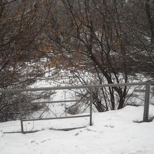 img_335564_12762.jpg