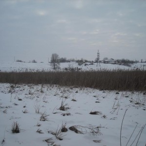 img_335566_12762.jpg