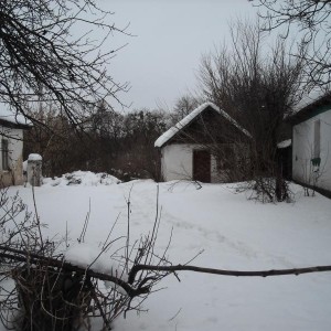 img_335568_12762.jpg