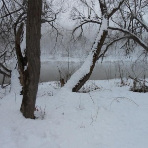 img_335869_38563.jpg