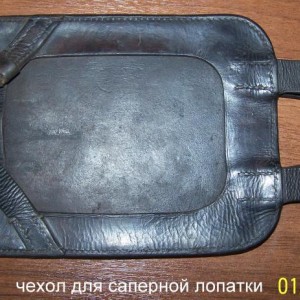 img_336379_39918.jpg