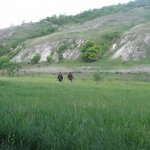img_336420_75025.jpg