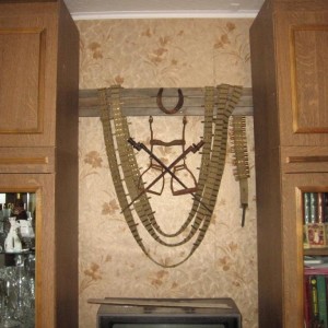 img_339198_20740.jpg