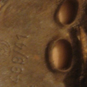 img_339905_75970.jpg