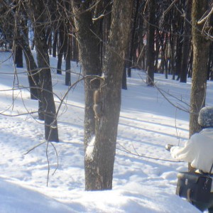 img_340753_40872.jpg