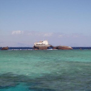 img_341349_43254.jpg