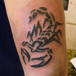 img_342176_47047.jpg