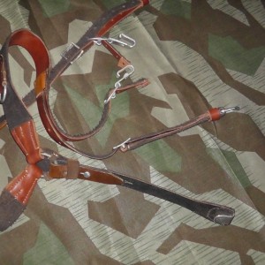 S2150033.JPG