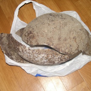 CIMG9008.JPG