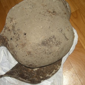 CIMG9009.JPG