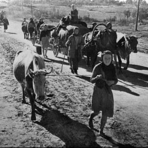Колонна возвращающихся беженцев. Лето 1944 г..jpg