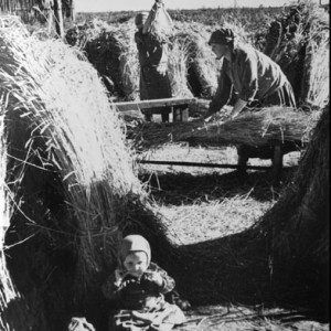 Тяжелый крестьянский труд. 1944 г..jpg