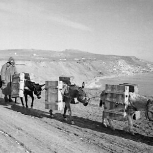 Подвоз боеприпасов. 1944 г..jpg
