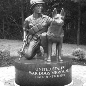 wardog.jpg