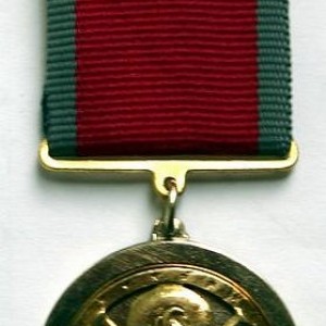 y_d9465033.jpg