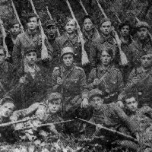 Yg8UFR53Ssg.jpg