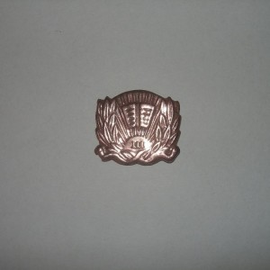 CIMG9082.JPG