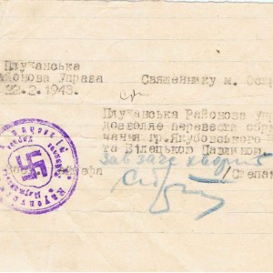 Дозвіл_старости._Плужне.jpg