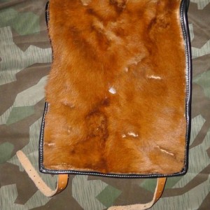 S2280015.JPG