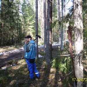 Sooru 2011.JPG