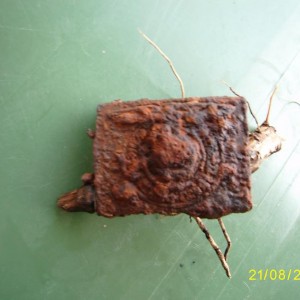 Pannal SS R66mult.JPG