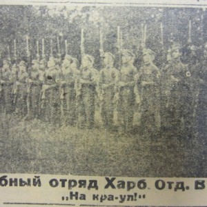 3559_600.jpg