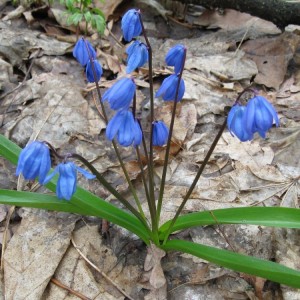 IMG_0383.JPG