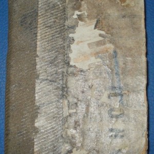 P4220151.JPG