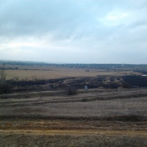 2013-03-14 15.37.05.jpg