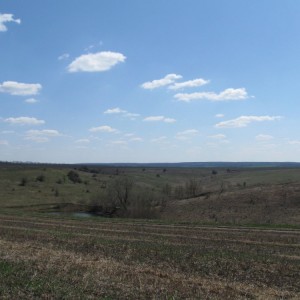 IMG_0653.JPG