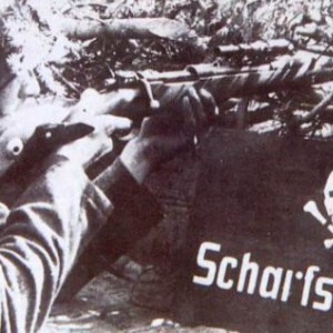 86d14e1ca764.jpg