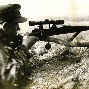 snipe.jpg