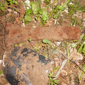 DSCN1404.JPG