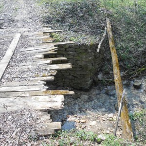 DSCN1412.JPG