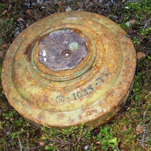 SDC16192.JPG