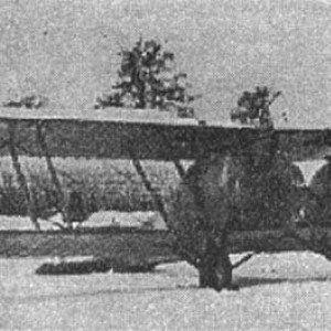 x_914f71d3.jpg