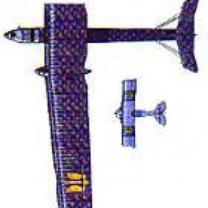 x_37856395.jpg
