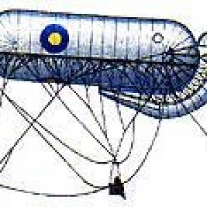 x_3a460125.jpg