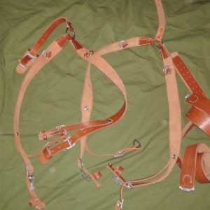 S2370001.JPG
