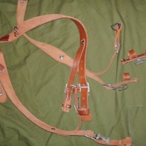 S2370003.JPG