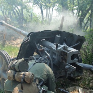 194.JPG