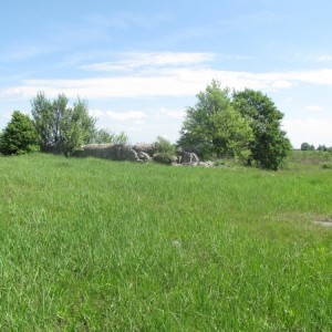 доты гулянка 2013 055.jpg