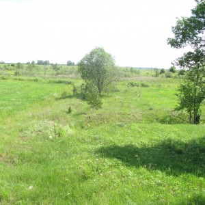 доты гулянка 2013 085.jpg