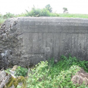 доты гулянка 2013 099.jpg