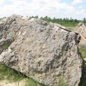 доты гулянка 2013 159.jpg