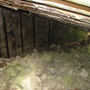 доты гулянка 2013 298.jpg