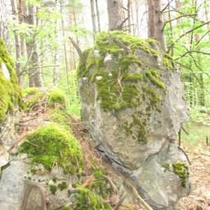 доты гулянка 2013 304.jpg