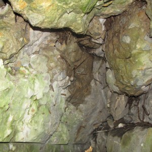 доты гулянка 2013 301.jpg